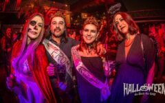 distrito1340-banner-halloween-2024